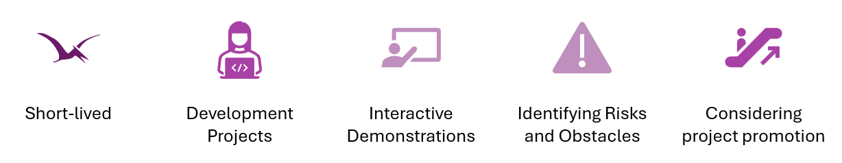 Characteristics of AI Prototyping Projects